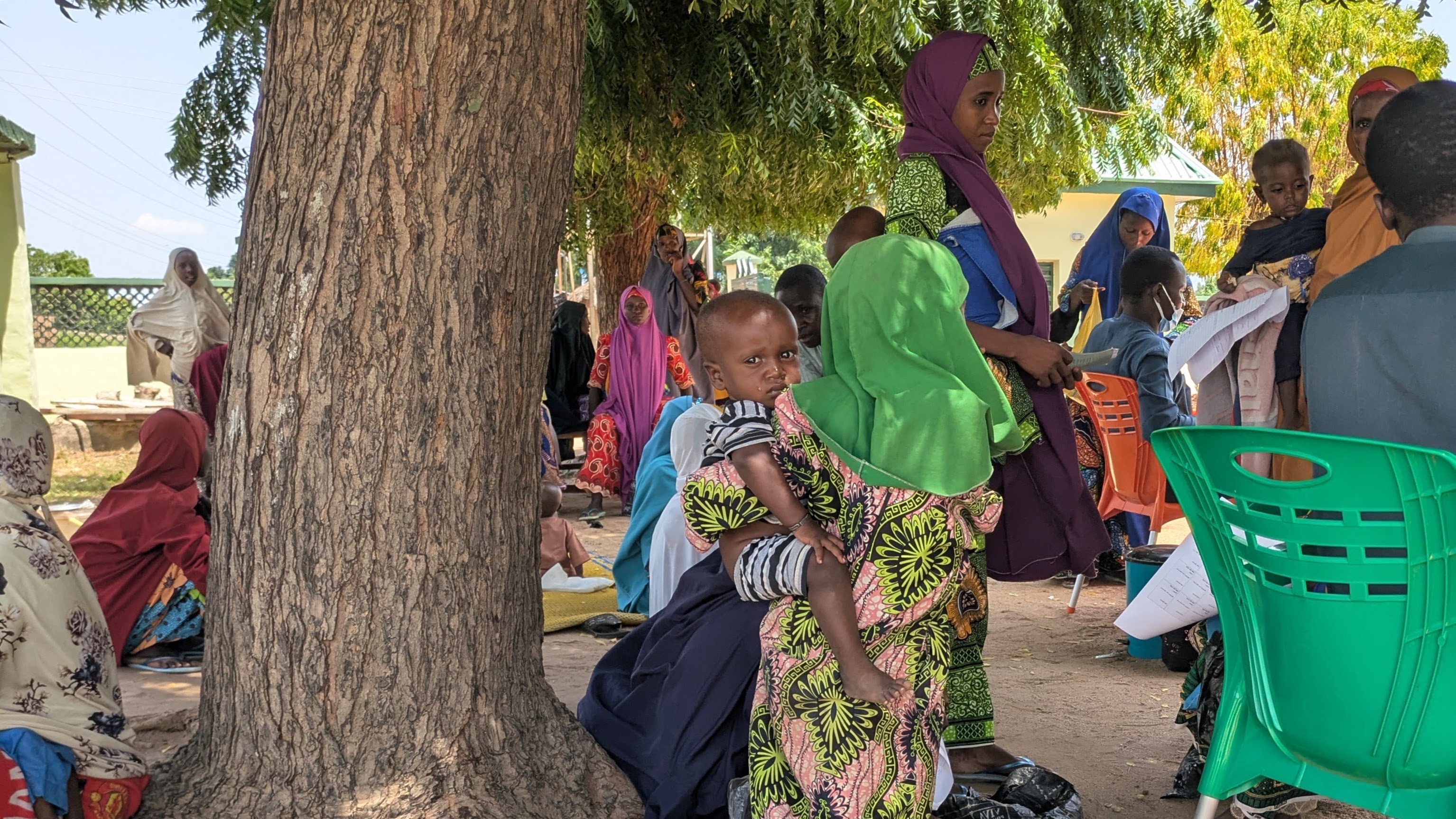 Scientific research in the field